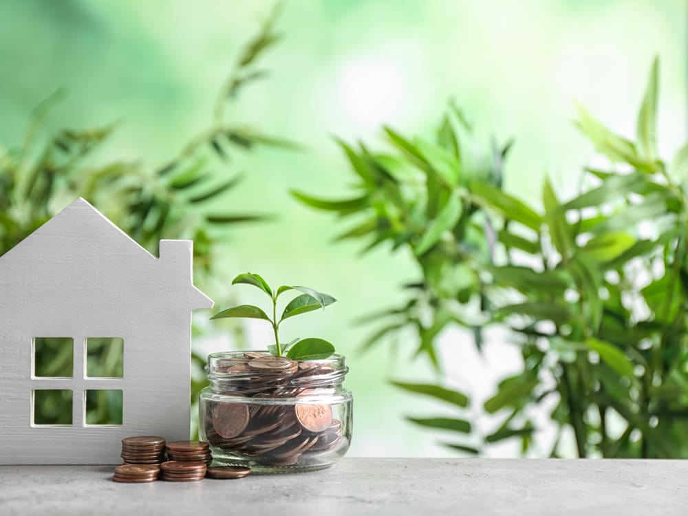 Casa de madera junto a un frasco con monedas y una planta